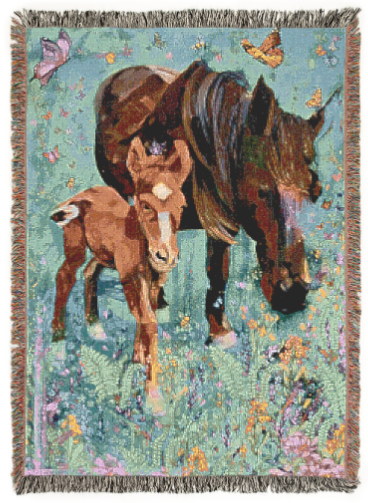 Flicka and Dan Colorful Woven Throw Blanket